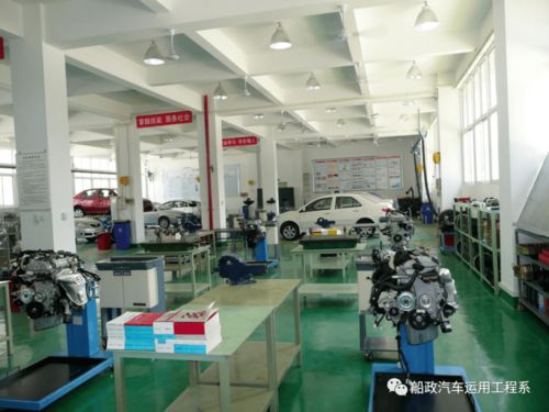 必看 大学专业介绍 十五 帅哥超级多的专业